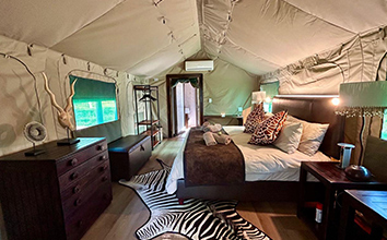 Hunting Safari Accommodation