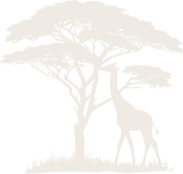 Ondangwa Wildlife Safaris