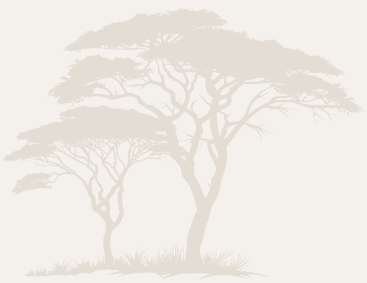 Ondangwa Wildlife Safaris