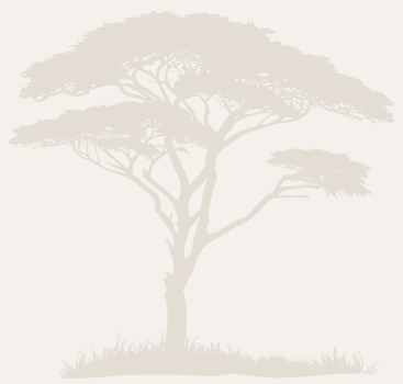 Ondangwa Wildlife Safaris
