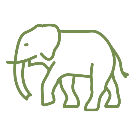 Elephant Interactions